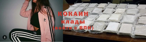 индика Новокубанск
