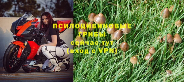 гашиш Алексин